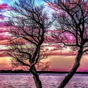 Meet your Posher, Becky flint